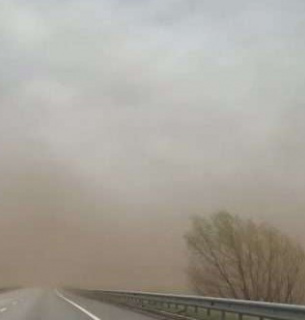 Не витримують дерева: Київ накрила буря (фото) Фото з відкритих джерел