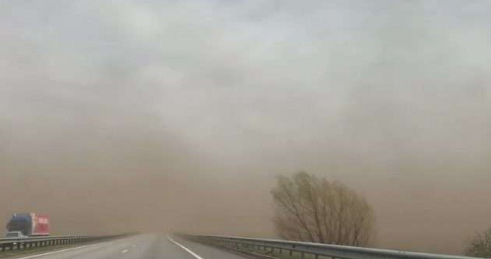 Не витримують дерева: Київ накрила буря (фото) Фото з відкритих джерел