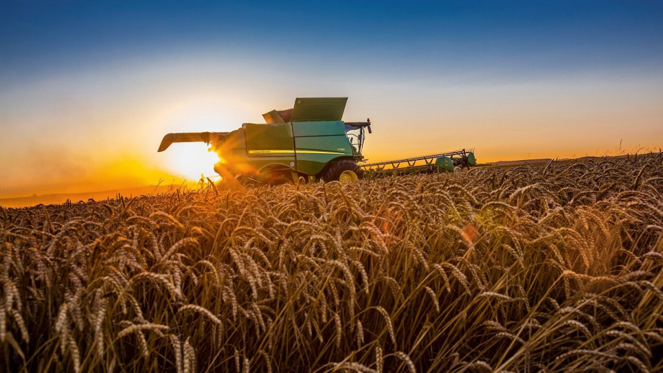 Аграріям знизили ПДВ на продаж продукції: список товарів Фото з відкритих джерел