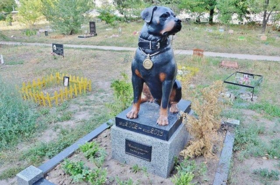 Кладовище для тварин столиці не світить і цього року