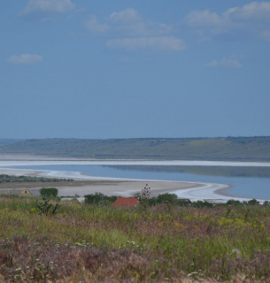 Куяльник под угрозой исчезновения: морская вода вредна для лимана