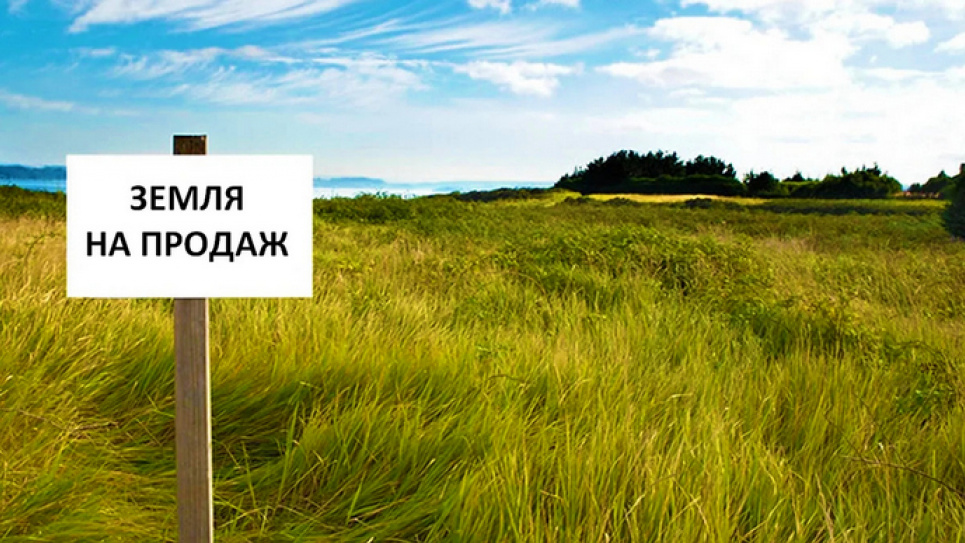 Сколько будет стоить гектар земли после открытия рынка