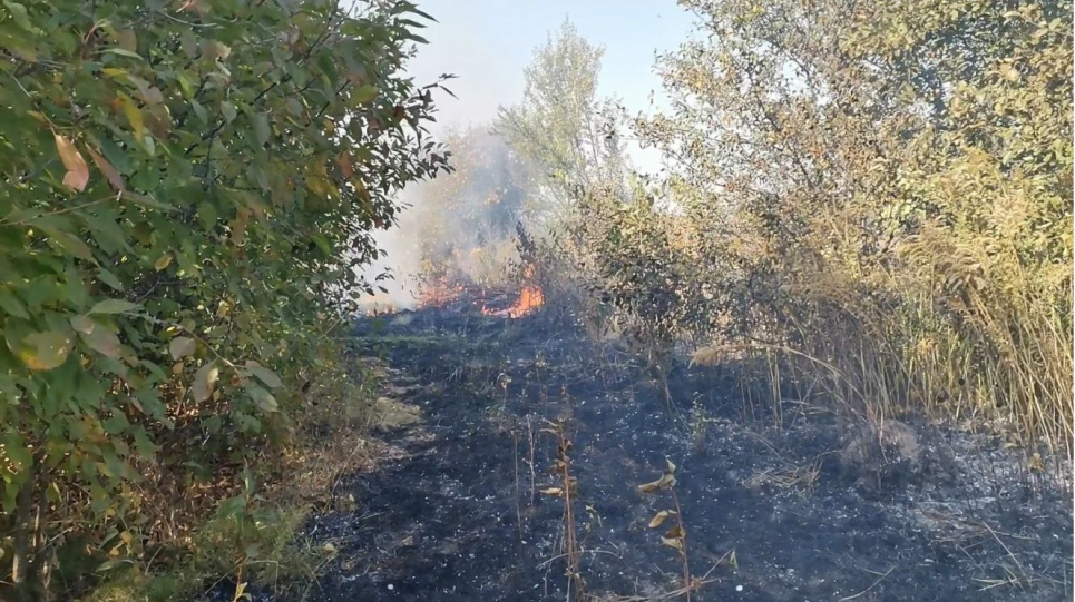 В Сумской области загорелась степь у дачных домов (видео)