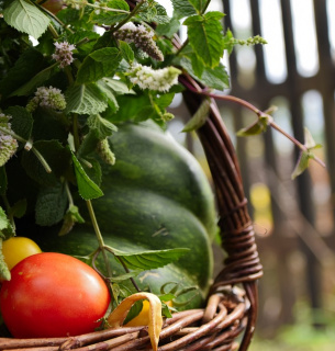 ТОП-7 продуктів, які в першу чергу слід мати в раціоні восени pixabay