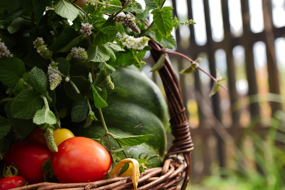 ТОП-7 продуктів, які в першу чергу слід мати в раціоні восени pixabay