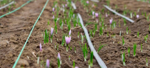 Создание охранных зон для Красной книги в Николаевской области