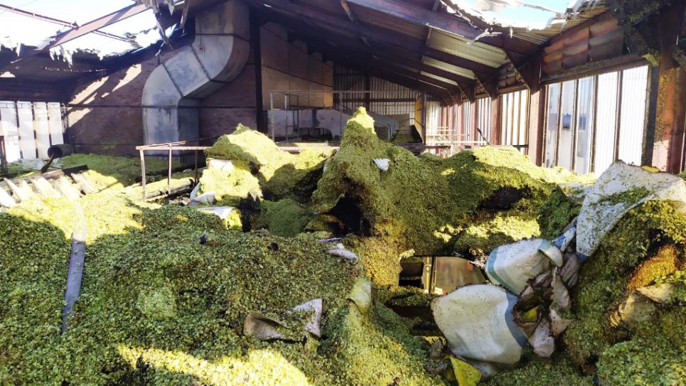 Не до пива: масштабна пожежа знищила 30 тонн хмелю Фото;ДСНС