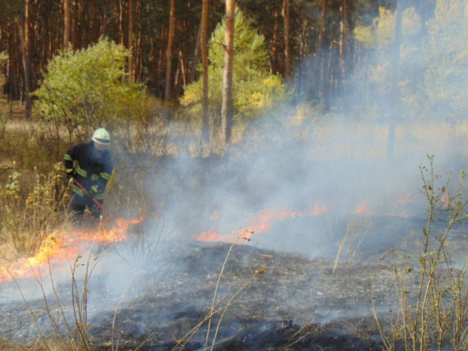 Луганщина у вогні: людей терміново евакуюють (фото, відео)