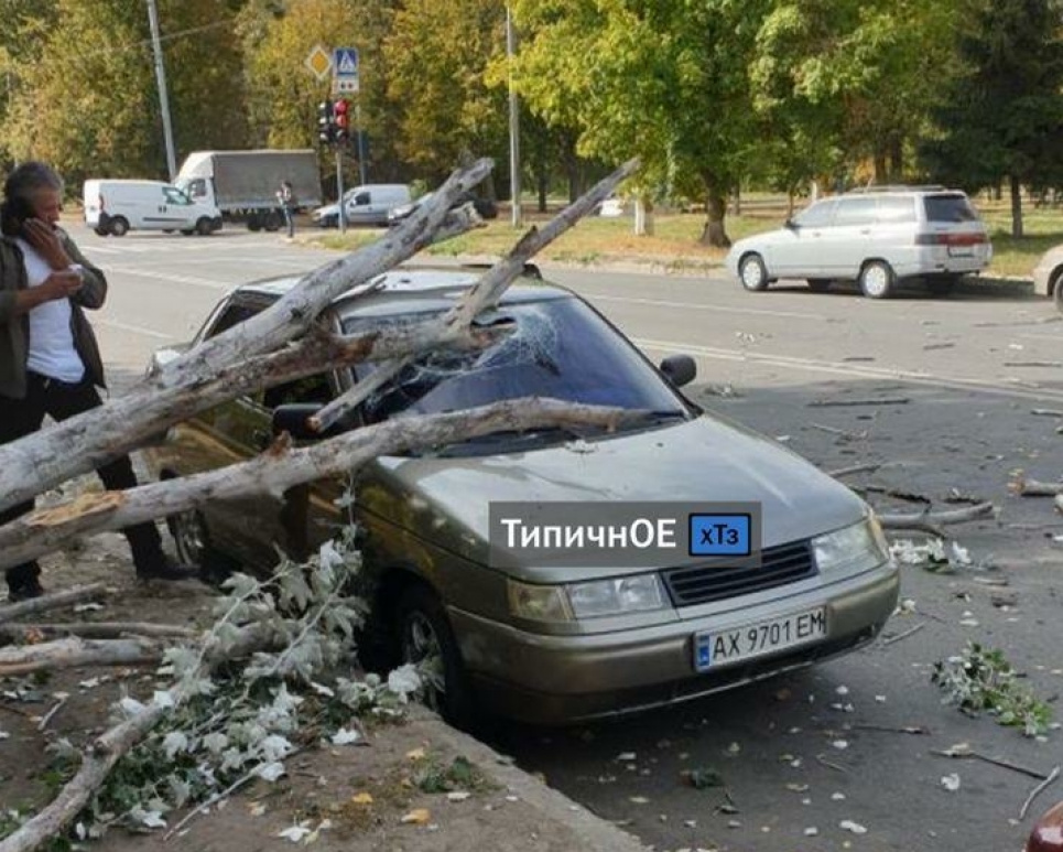 Буревій повалив дерева в усьому місті та покалічив молоду дівчину (відео, фото)