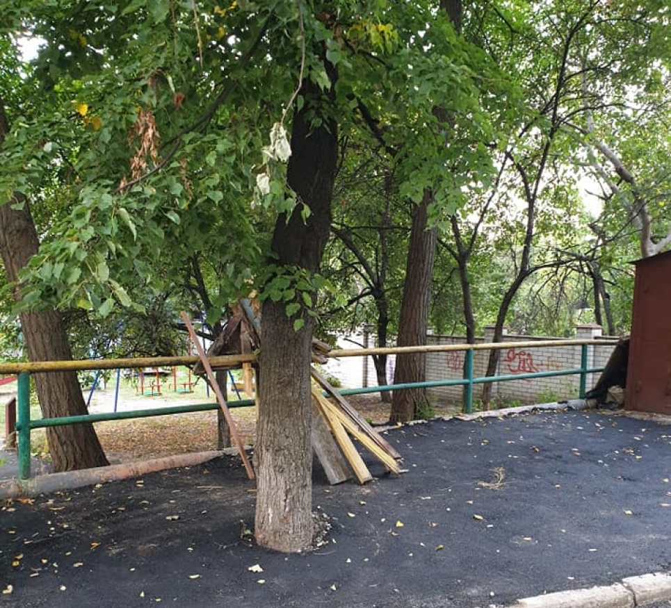 У Києві заасфальтували дерево: "замурували, демони" (фото)