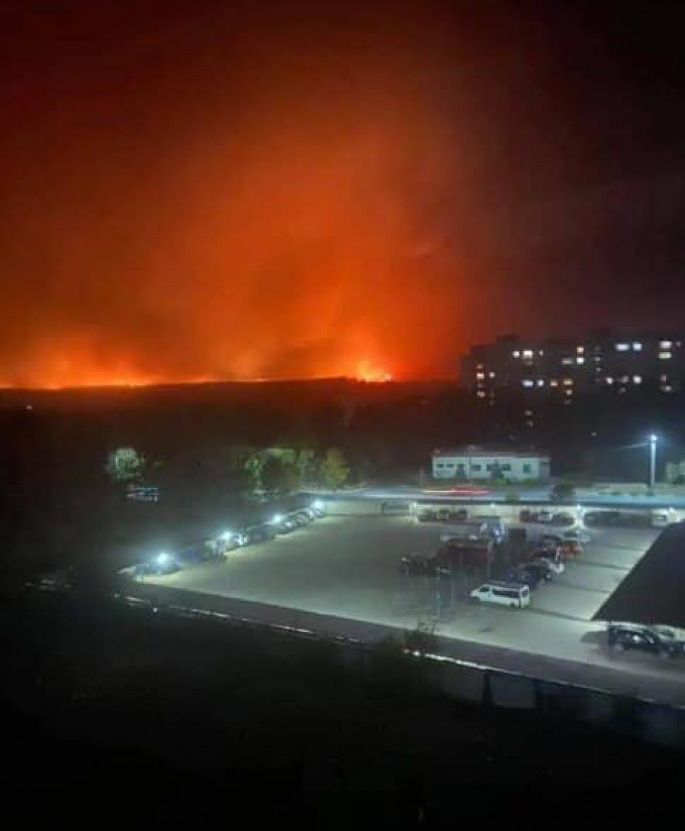 На Луганщини вогонь вбив трьох людей та знищив 9300 гектарів лісу й полів (відео)