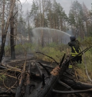Наслідки вогню на Луганщині: ліси відновляться лише за 50 років