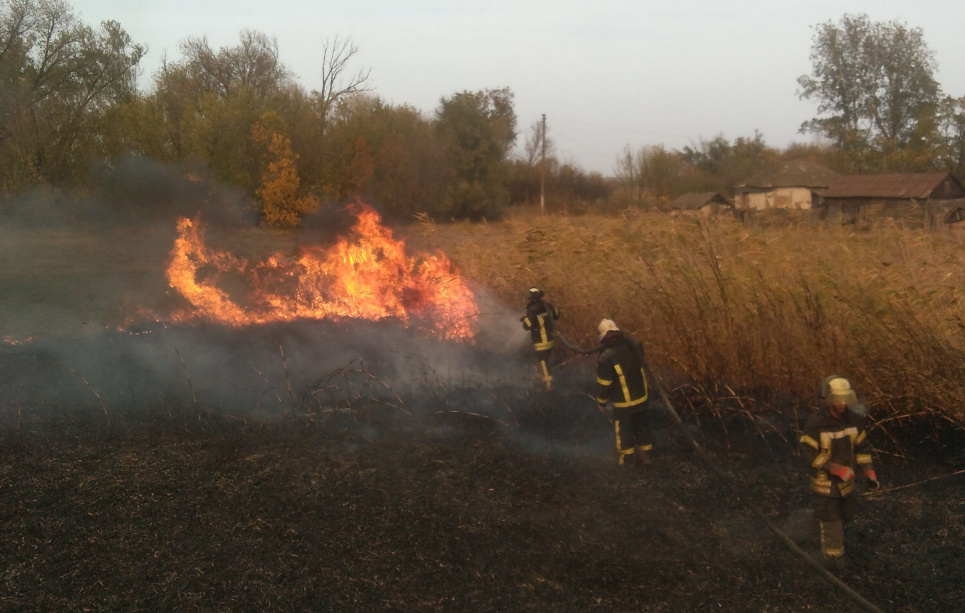 На Луганщині у пожежах зникло 4 людей й знищено понад 500 будівель (відео)