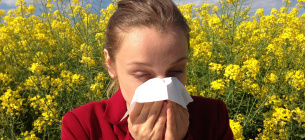 Австралійські вчені знайшли спосіб подолання алергії і астми назавжди