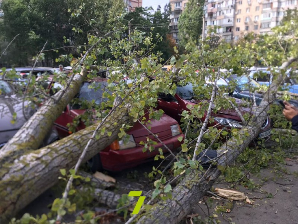 В Одесі дерево впало на сім машин (фото) Всі фото: телеграм-канал "Одеса як вона є"