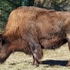 Фото: pixabay.com