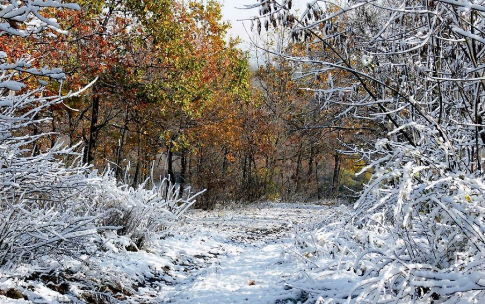 Коли в Україні чекати на заморозки та перший сніг — розповіли вчені