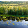 Фото иллюстративное