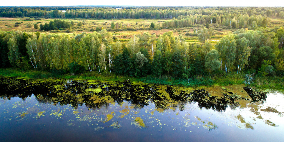 Поряд із Чорнобилем відновилася унікальна екосистема Фото ілюстративне
