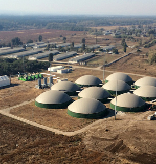 В Винницкой области электроэнергию будут делать из куриного помета Фото: ecotown