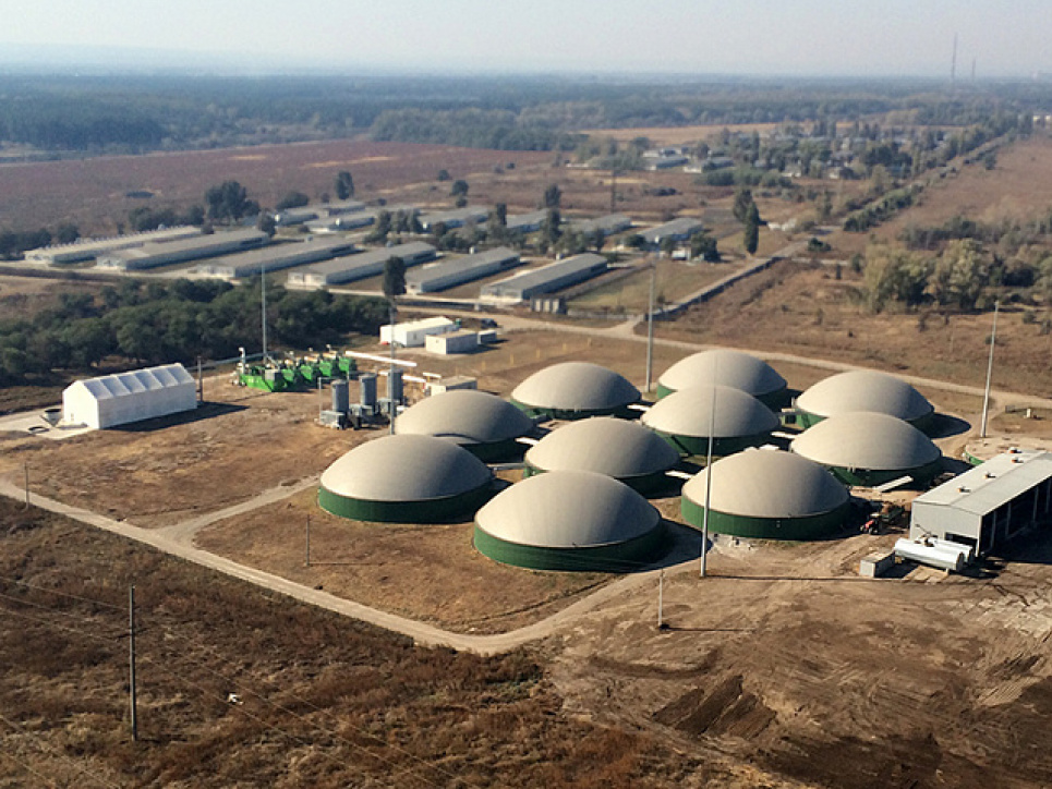 В Винницкой области электроэнергию будут делать из куриного помета Фото: ecotown