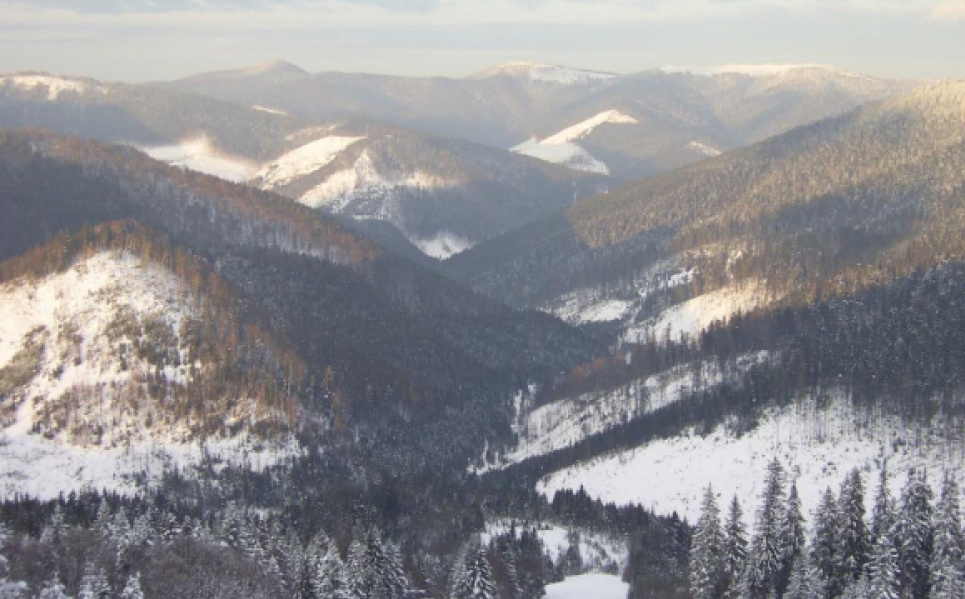 У Карпатах чекають штормового вітру
