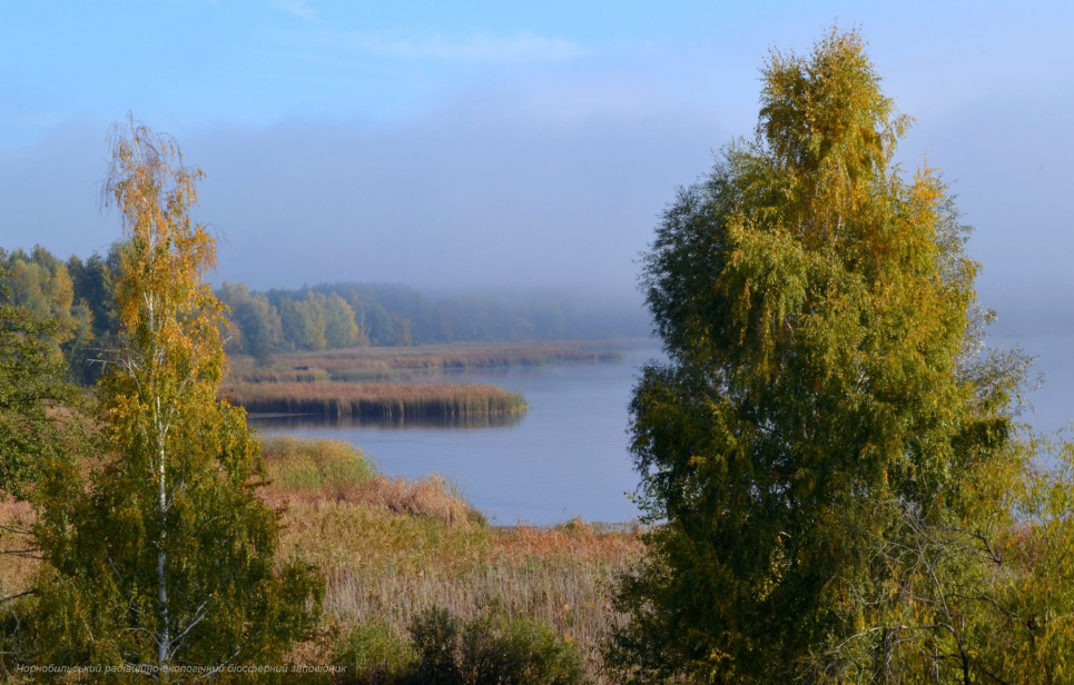 Осінь у Чорнобилі: показали вражаючі знімки Фото ілюстративне