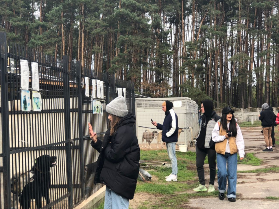 Відомі блогери допомагають тваринам-безхатькам знайти родину (фото) Фото з сайту КМДА
