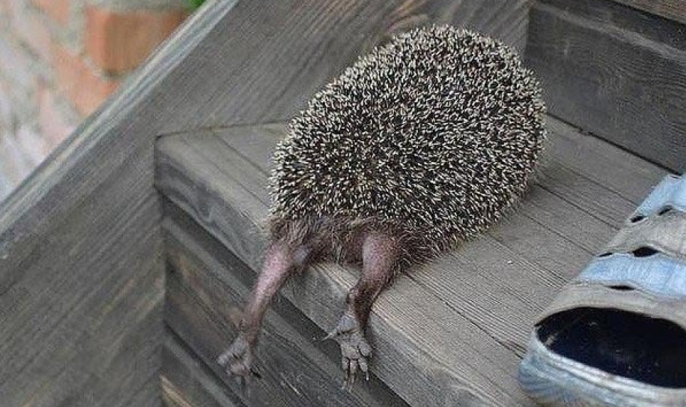 Не понедельник. Назван самый тяжелый день недели