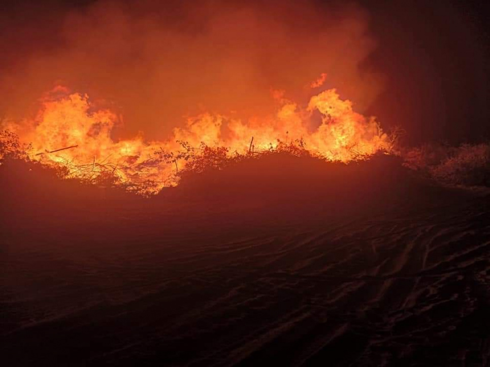 На майже 100 млн гривень постраждала природа через пожежу у Черкасах (фото)