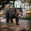 Фото: Фейсбук UAnimals.official
