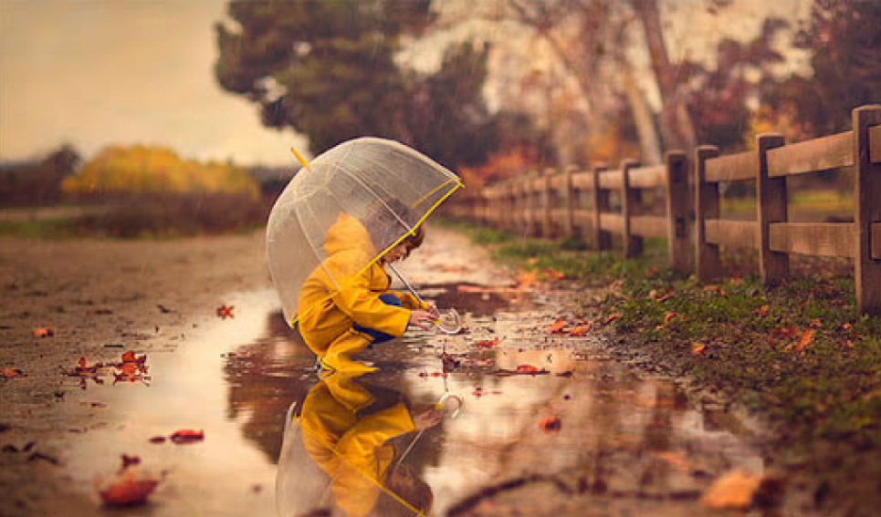 Де взяти «сонячний» вітамін D коли за вікном мряка