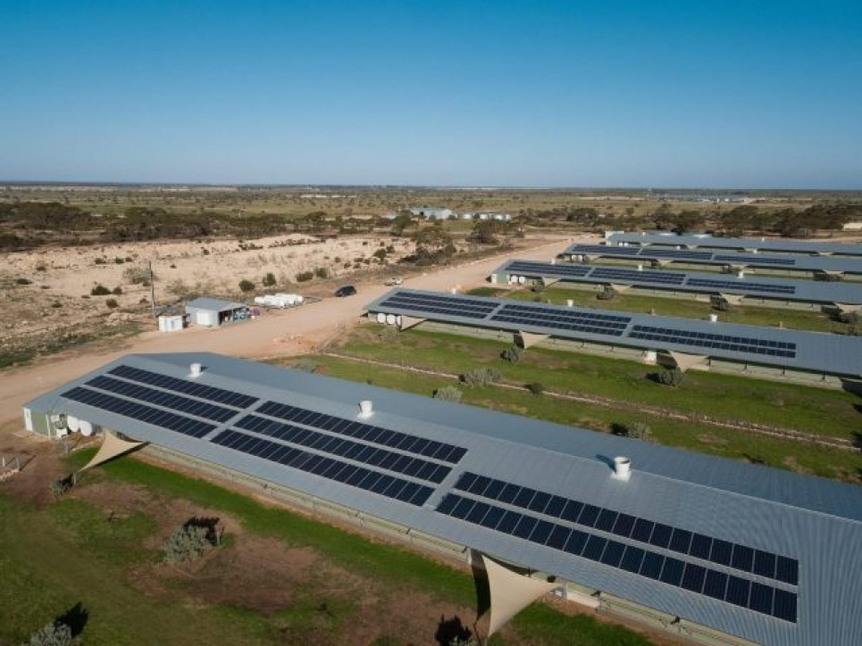 Зеленая энергетика досталась птицефермам. Правда, не украинским ecotown