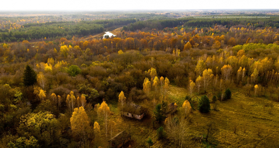 Показали осінь у Чорнобильському заповіднику (фото) Фото: Денис Вишневський