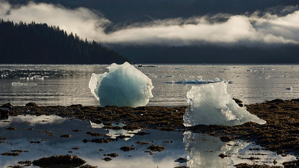 Глобальне потепління стало забирати все більше людських життів