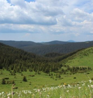 В Україні з'явиться новий національний парк у Карпатах