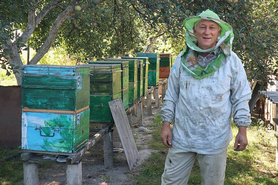 Жоден продукт не містить стільки амінокислот та мікроелементів — бджоляр Фото: Голос України