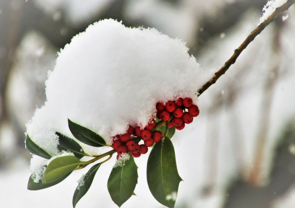 Науковці визначили, які 7 проблем зі здоров'ям викликає холодна зимова погода