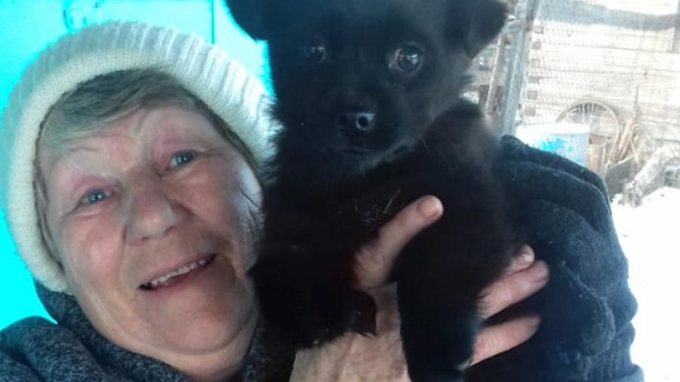 В Забайкальском крае родился щенок с пятью лапами (фото)