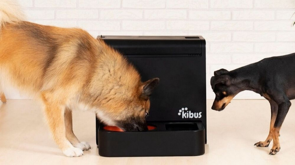 Пароварка для собак. Вчені створили пристрій, який із сухого корму робить гарячу страву kibuspetcare.com