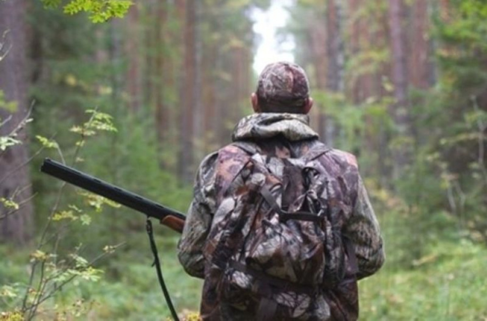 Міндовкілля не підтримало скандальну Концепцію розвитку мисливства Фото з відкритих джерел