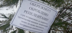 Де в Україні можна придбати легальну ялинку та як у цьому допоможуть Google-карти