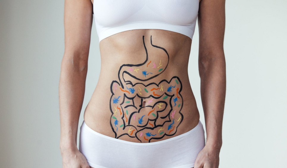 Семь способов улучшить работу кишечника и повысить количество полезных бактерий