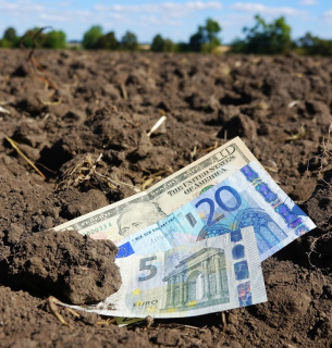 Вопрос продажи земли иностранцам решат на референдуме Фото из открытых источников