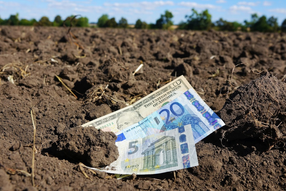 Вопрос продажи земли иностранцам решат на референдуме Фото из открытых источников