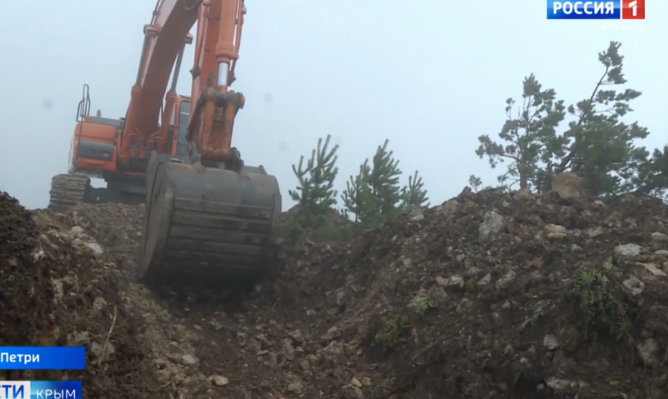 Окупанти вирубають заповідний ліс у південному Криму (відео)