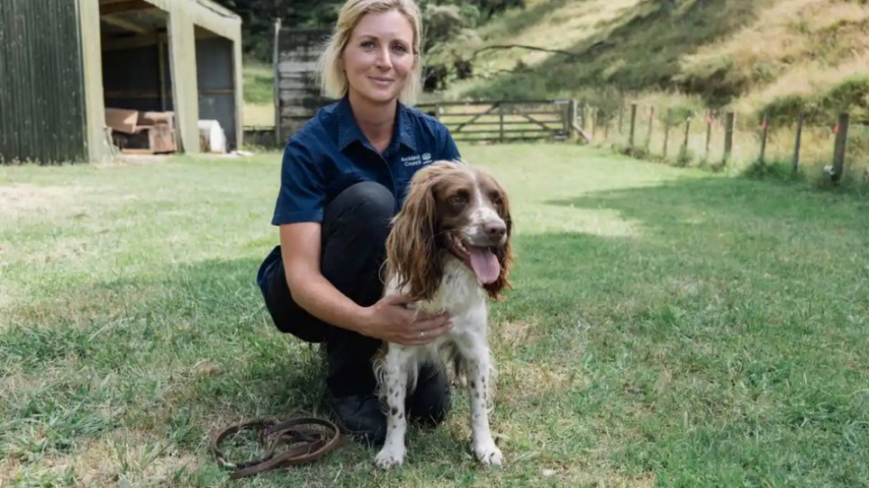 Cобаки винюхуватимуть смертельну хворобу дерев: деталі  Bryan Lowe/Auckland council