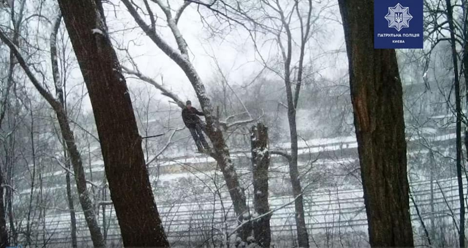 У столиці зняли з дерева вісельника. Вирішив «піти» бо були проблеми в родині Фото: Нацполіція