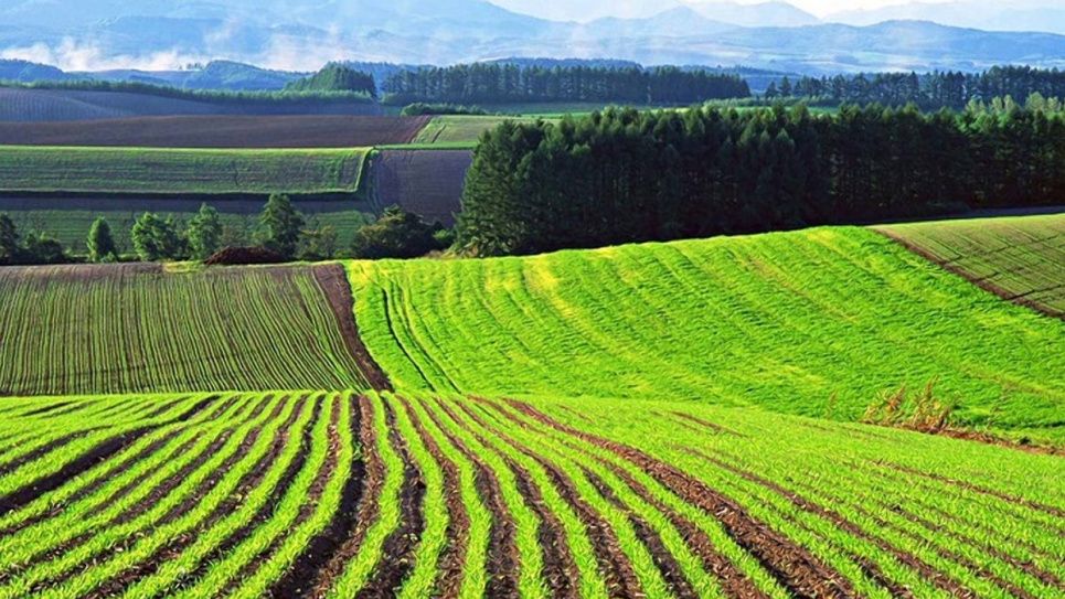 Где в Украине самая дорогая земля Фото из открытых источников
