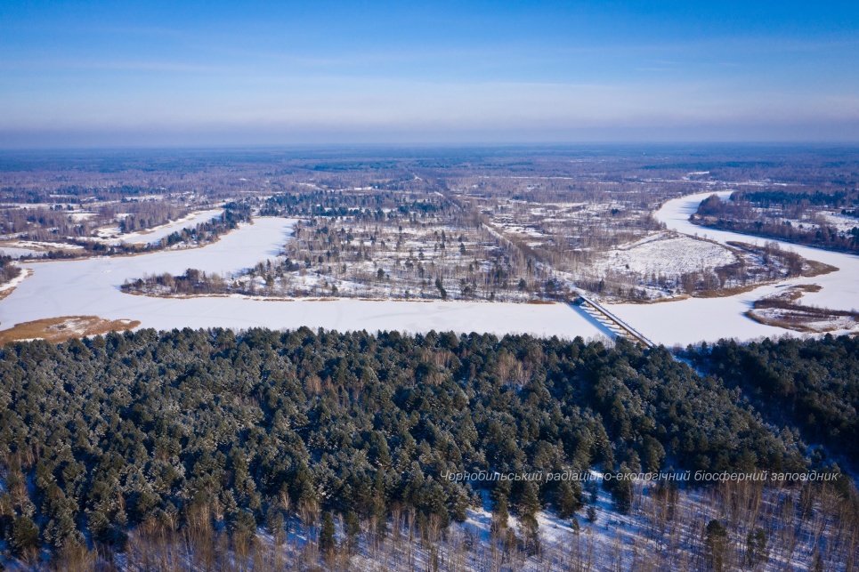 Фото Дениса Вишневського